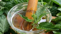 So wird aus Brennnesseln ein nützlicher Dünger: Rezept für einen Nährstoffsud