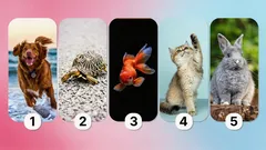 Was die Wahl des Haustiers über Sie verrät: ein Test, der die Persönlichkeit offenlegt