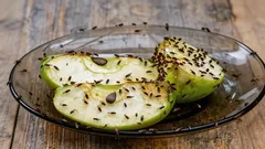 Wie Sie Fruchtfliegen sofort loswerden: eine einfache, bewährte Methode ohne Chemie