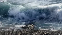 Ein Asteroid löste vor den Küsten Europas einen Megatsunami aus: Wo und wann geschah das?